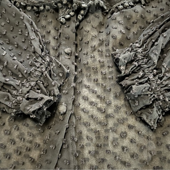 LoveShackFancy Erica SWISS DOT HIGH NECK LACE BLOUSE Ruffled Button Front Sheer - Picture 15 of 16